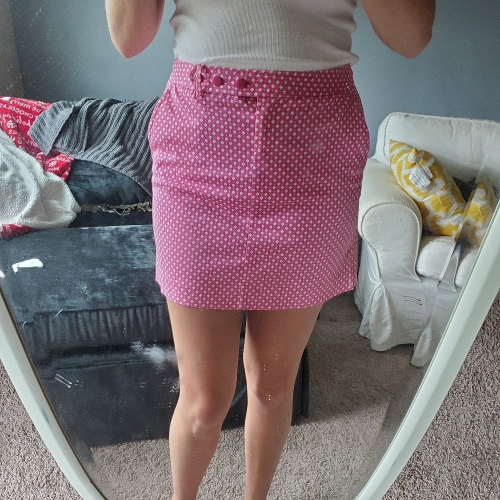 J Crew Skirt